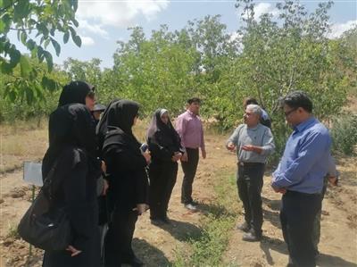 بازدید مشاور اقتصادی دفتر توسعه كشاورزی زنان روستایی از فعالیت زنان روستایی شهرستان گرمسار