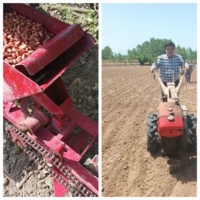 کنترل زیستی بیماری‌های خاکزاد بادام‌زمینی در گیلان