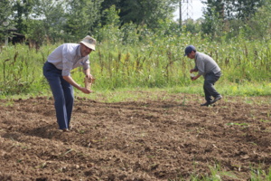 تحقیقی نوین برای بهبود عملکرد بادام‌زمینی