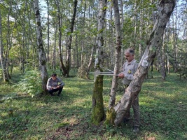 جنگل‌های گیلان، پیشگام مقابله با تغییرات اقلیمی