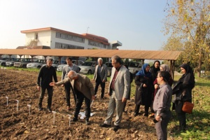 از برگ کتاب تا برگ زندگی