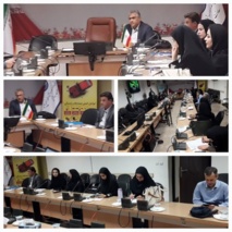 نشست تخصصی برای سلامت برنج در گیلان