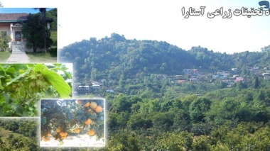 ایستگاه تحقیقات زراعی آستارا