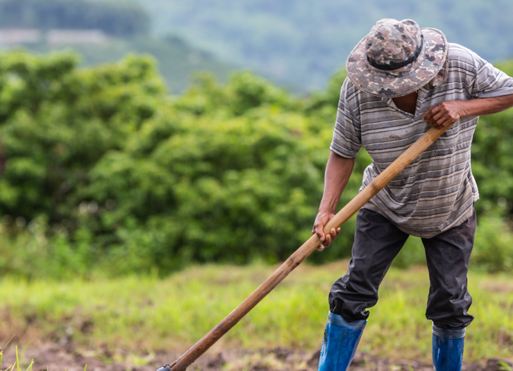 بنر درباره ما