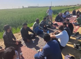 برگزاری طرح انتقال یافته‌های تحقیقاتی با محوریت آبیاری در مزارع رامشیر