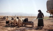 توانمندسازی کارشناسان امور عشایر خوزستان در مواجهه با خشکسالی