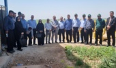 برگزاری کارگاه آموزشی برداشت و کیلگیری چغندرقند در کشت و صنعت دعبل خزاعی