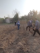 کشت موفق لوبیای چشم‌بلبلی و ماش در دمای ۵۰ درجه‌ سانتی گراد