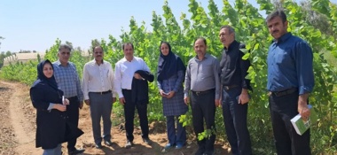 همکاری مرکز تحقیقات و آموزش کشاورزی و منابع طبیعی خوزستان با شهرداری شهر چمران