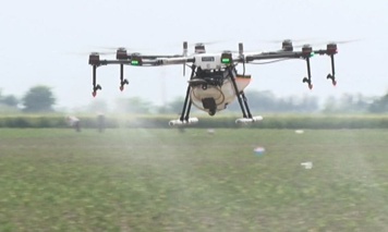 رعایت چهار اصل طلایی سمپاشی برای حفظ محصول و محیط‌زیست