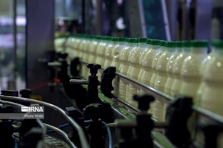 رعایت زنجیره بهداشت شیر یک سرمایه‌گذاری راهبردی است