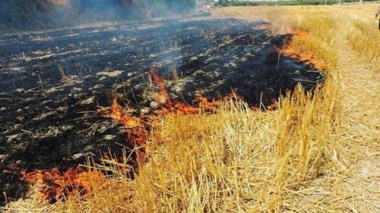 سوزاندن بقایای کشاورزی خشکسالی را تشدید می‌کند
