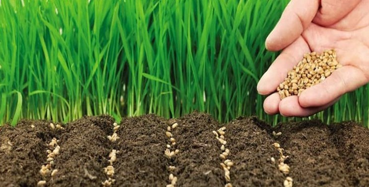 گالری - دفتر امور فناوری