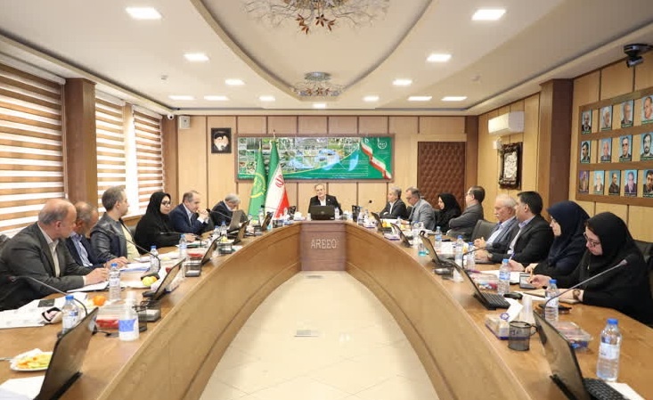 سازمان تات