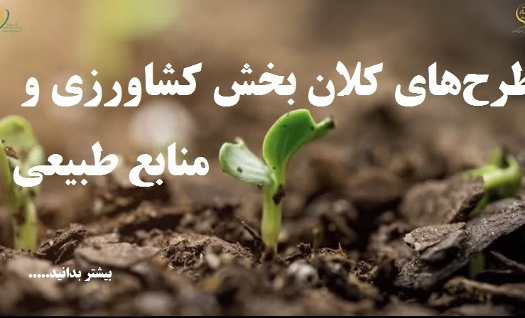 طرح کلان