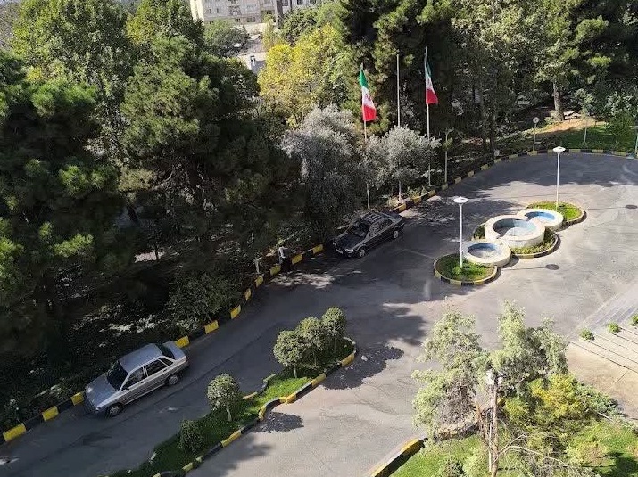 عکس سازمان تات