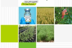 فصلنامه بازتاب تات