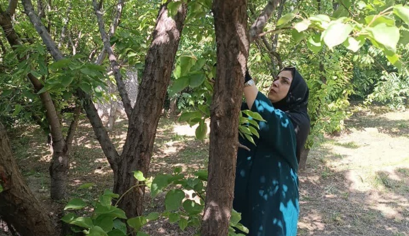 عکس