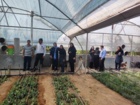 کارگاه آموزشی مدیریت پسماندهای کشاورزی در اراضی زراعی و باغی شهرستان سیرجان
