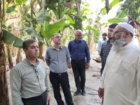 بازدید از اراضی کشت موز ایستگاه باهوکلات چابهار