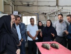بازدید رؤسای پارک‌های علم‌وفناوری استان‌های ساحلی کشور از پژوهشکده آبزی‌پروری آب‌های جنوب کشور و تأکید بر معرفی دانش‌های فنی به‌دست‌آمده به بخش خصوصی با همکاری پارک علم‌وفناوری