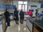 «روز درهای باز کشاورزی»؛ فرصتی برای آشنایی عموم با دستاوردهای نوین بخش کشاورزی