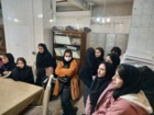«روز درهای باز کشاورزی»؛ فرصتی برای آشنایی عموم با دستاوردهای نوین بخش کشاورزی