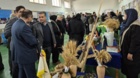 برگزاری نمایشگاه «روز درهای باز» خانواده تات گلستان در مرکز تحقیقات و آموزش گلستان