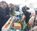 برگزاری نمایشگاه «روز درهای باز» خانواده تات گلستان در مرکز تحقیقات و آموزش گلستان