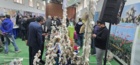 برگزاری نمایشگاه «روز درهای باز» خانواده تات گلستان در مرکز تحقیقات و آموزش گلستان