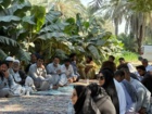برگزاری روز مزرعه