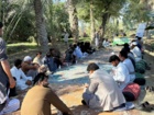 برگزاری روز مزرعه