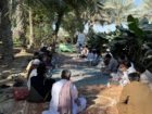 برگزاری روز مزرعه