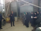برگزاری دوره آموزش ضمن خدمت کارشناسان علوم دامی در مرغداری صنعتی ۵۰ هزار قطعه‌ای پردیس بادیه خرم‌آباد