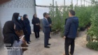 برگزاری کارگاه آموزشی اقدامات زمستانه گلخانه‌ها در شهرستان رفسنجان