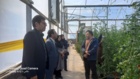 برگزاری کارگاه آموزشی اقدامات زمستانه گلخانه‌ها در شهرستان رفسنجان