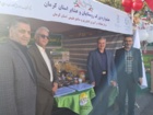 برگزاری جشنواره بزرگ روستاییان و عشایر استان کرمان
