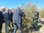 انتقال دانش تخصصی هرس و مدیریت آفات زیتون به باغداران با حضور محققان مرکز تات لرستان