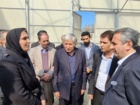 استان اردبیل قطب کشاورزی؛ نفوذ علم در مزارع با دستاوردهای پژوهشی سازمان تات