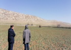 تولید هسته‌های اولیه بذری برای تأمین امنیت غذایی متوقف نشده است
