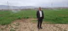 بررسی میدانی وضعیت رشد، آبیاری و تغذیه مزارع پرورش بذر گندم