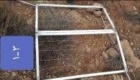 افزایش چشمگیر پوشش گیاهی در جنگل‌های کرمان گامی بلند در جهت پایداری اکوسیستم