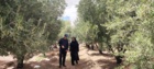 رئیس مرکز از فعالیت های ایستگاه های تحقیقاتی و تولیدی مرکز بازدید کرد
