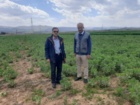 بازبینی تخصصی مزارع بذری در لرستان؛ آغاز فصل تصمیم‌های علمی و عملیاتی