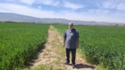 بازبینی تخصصی مزارع بذری در لرستان؛ آغاز فصل تصمیم‌های علمی و عملیاتی