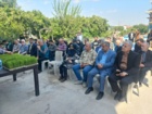 راهکار نجات مصرف آب در شالیزارها؛ امکان صرفه‌جویی ۴۰ درصدی با کشت مستقیم برنج