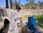 بازدید تخصصی از پروژه تحقیقاتی در مزارع گوجه فرنگی شهرستان ایرانشهر بخش دامن