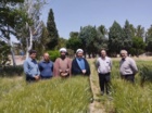 بازدید راهبردی مسئول حوزه نمایندگی ولی فقیه در سازمان تحقیقات،آموزش و ترویج کشاورزی از ظرفیت‌های پژوهشی ایستگاه تحقیقاتی شهید زنده‌روح کرمان