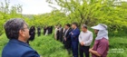 برگزاری رویداد ترویجی انتقال یافته‌های تحقیقاتی با محوریت کنترل شیمیایی شانکر باکتریایی