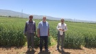 توسعه تحقیقات کاربردی؛ راهبردی مؤثر برای افزایش بهره‌وری کشاورزی در لرستان